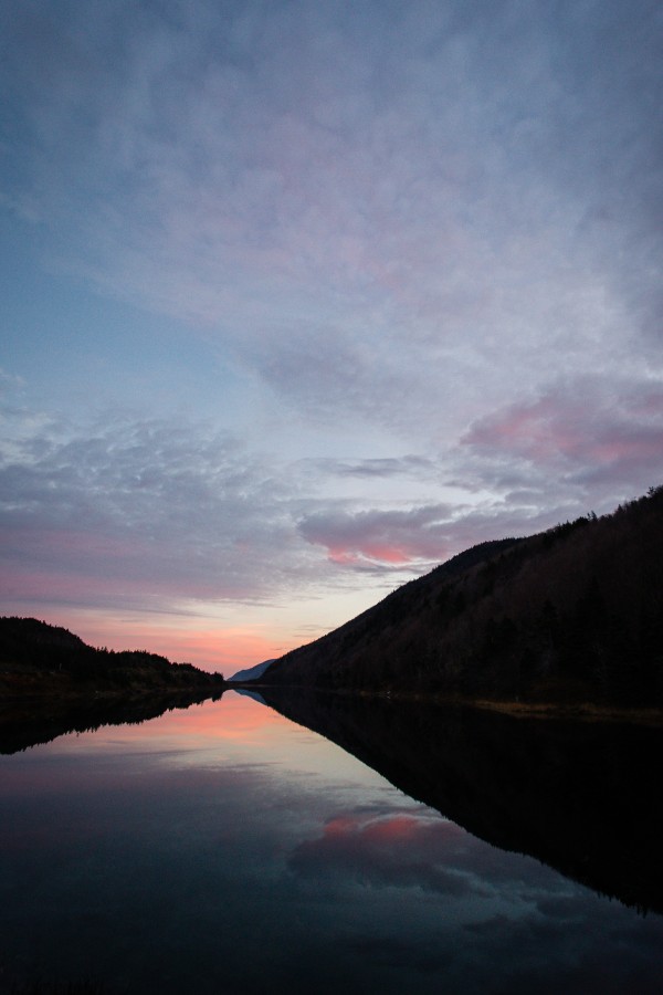 Blissful morning by Roman Buchhofer